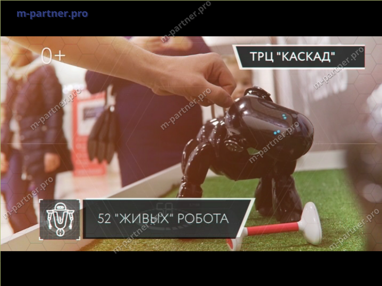 Реклама компании "Город роботов" в г. Чебоксары